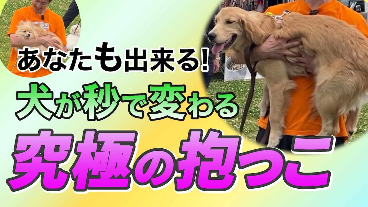 【犬のしつけ】まさに究極の抱っこ！全員が一瞬でおりこうさんに♪
