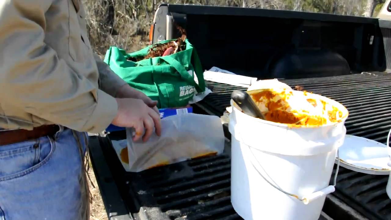 feeding the bees