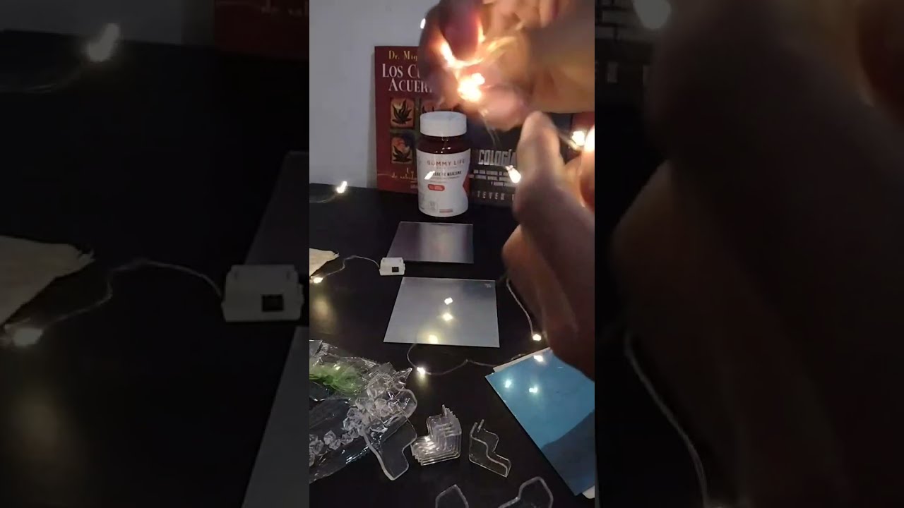 Cómo se arma la cajita de tulipanes infinitos