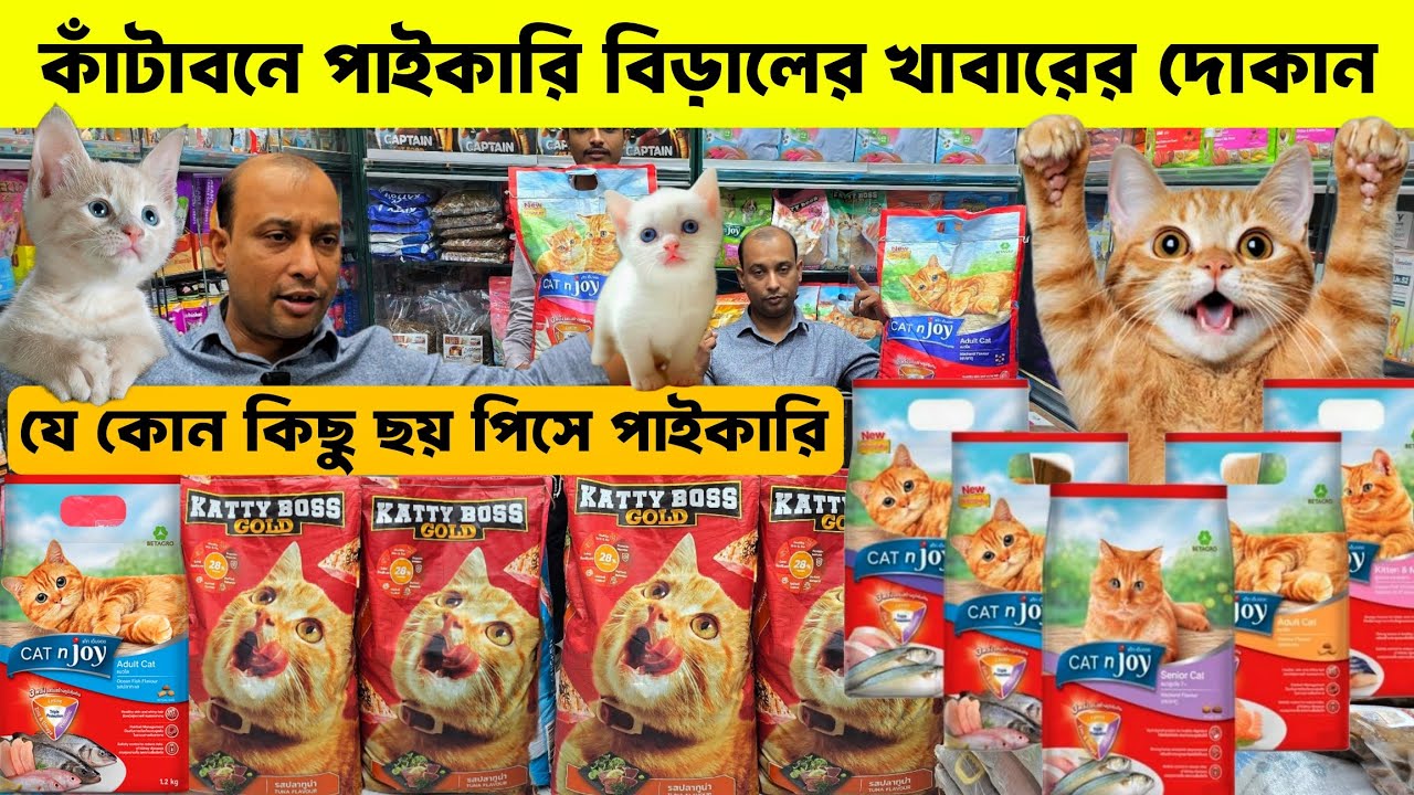 Persian cat food price in Bangladesh 2025 🔥| Cat food price in Bangladesh 2025