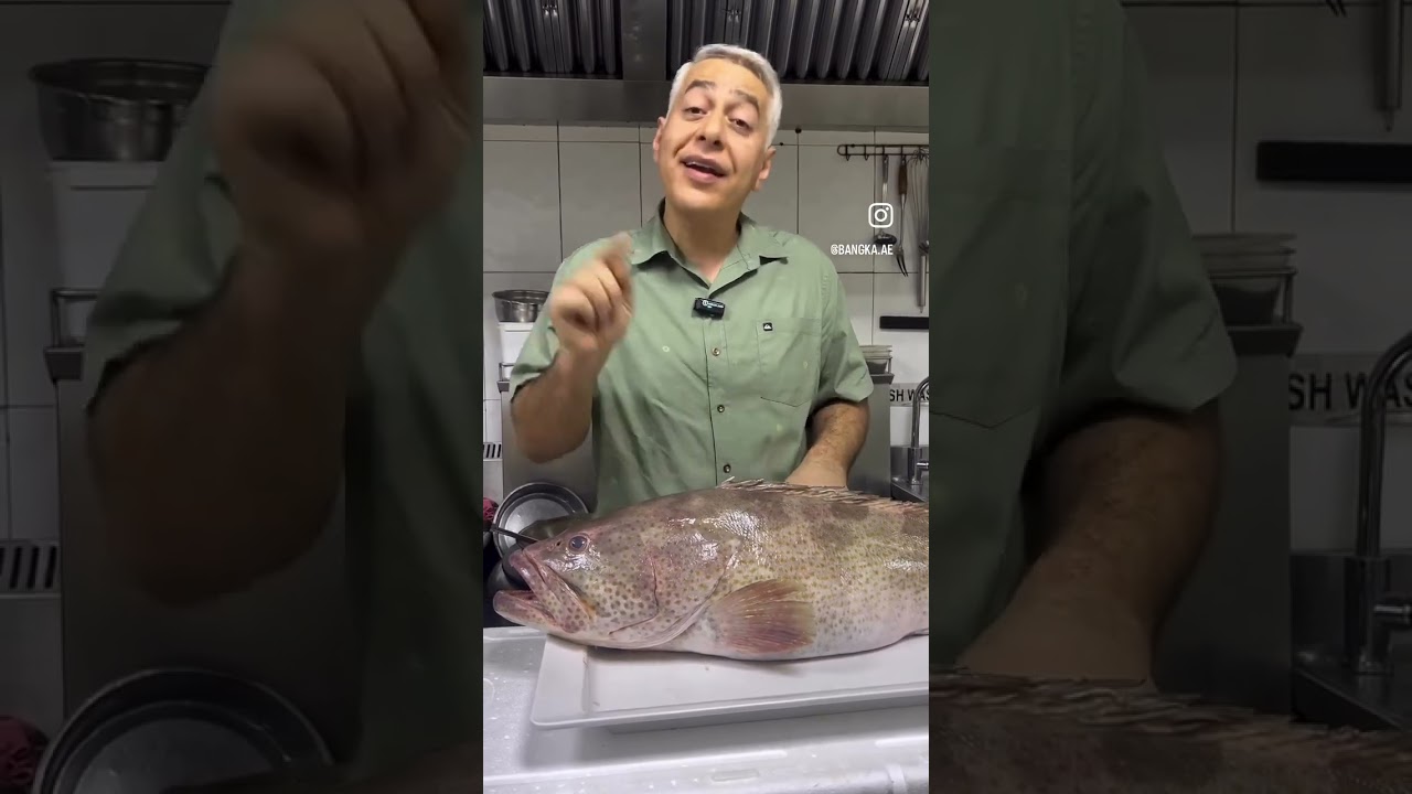 عجائب سمك الهامور وكيف تتحول الأنثى إلى ذكر