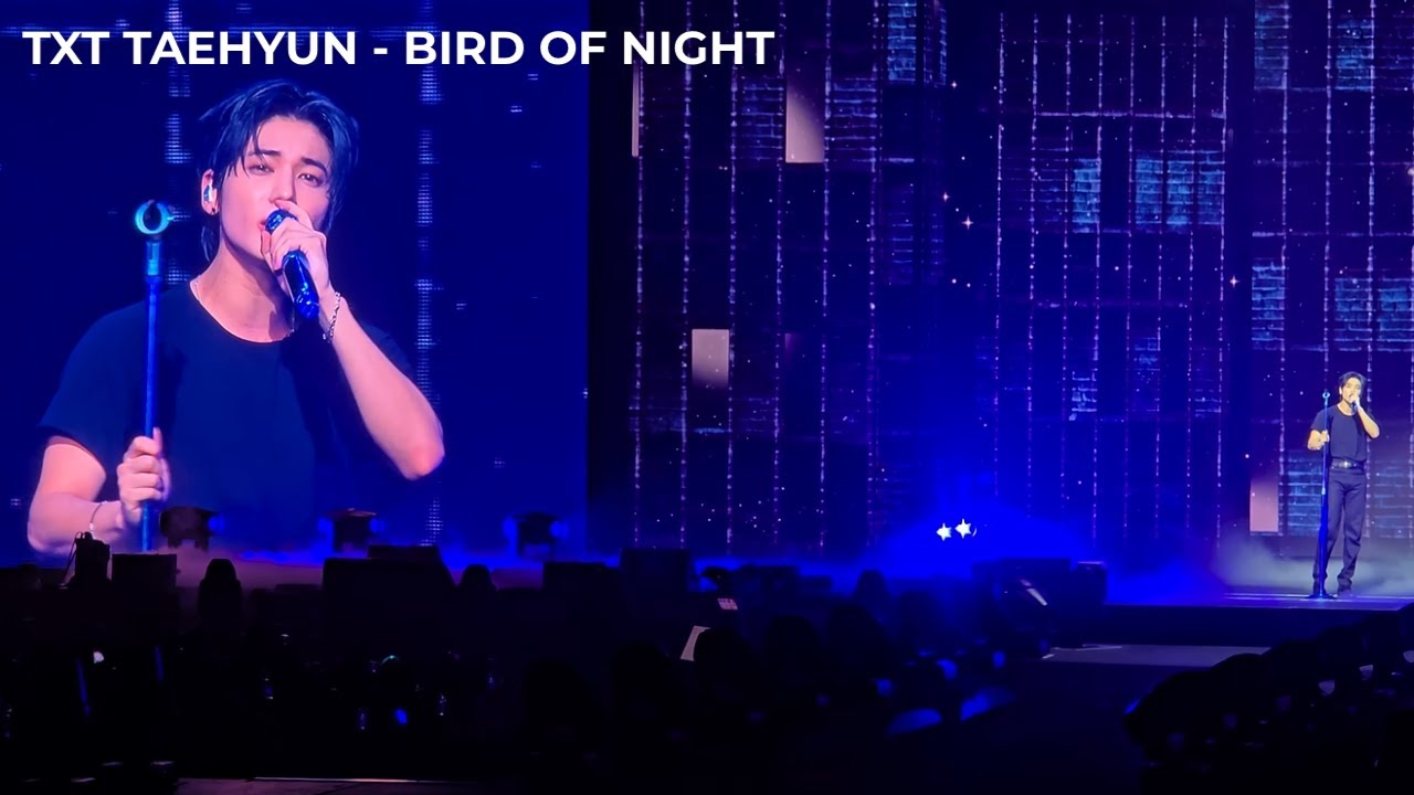 TXT TAEHYUN [투모로우바이투게더 태현] SOLO STAGE | BIRD OF NIGHT | ACT: TOMORROW TOUR | CHICAGO DAY 1