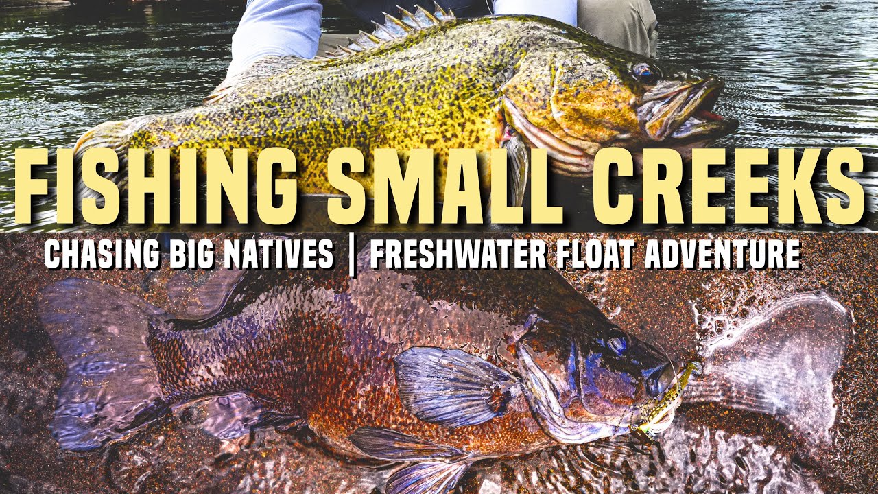 Fishing a Small Creek for Big Natives | Freshwater Float Trip