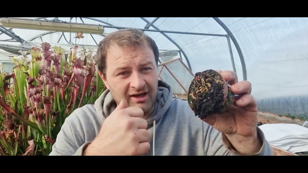 Un parasite qui nous pourri la vie