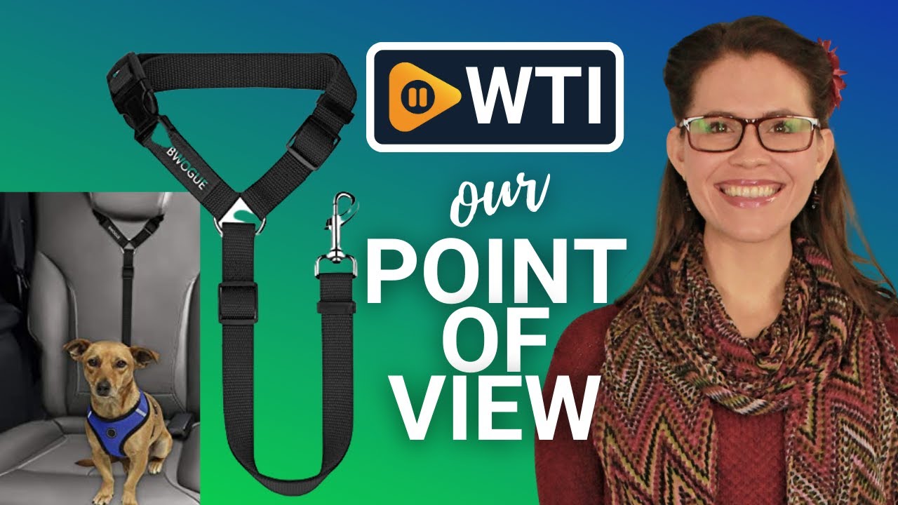 BWOGUE Pet Seat Belts | Our Point Of View