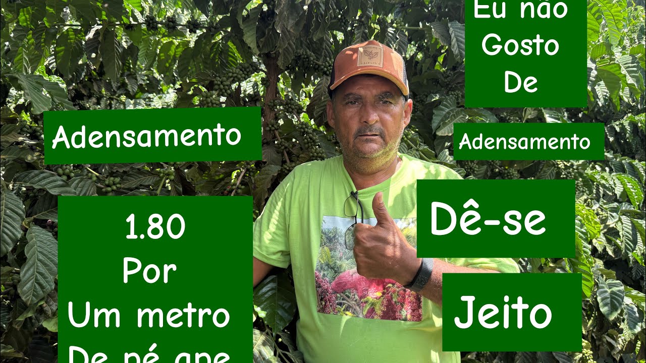 Quanto vc for plantar café não planta no adensamento 
