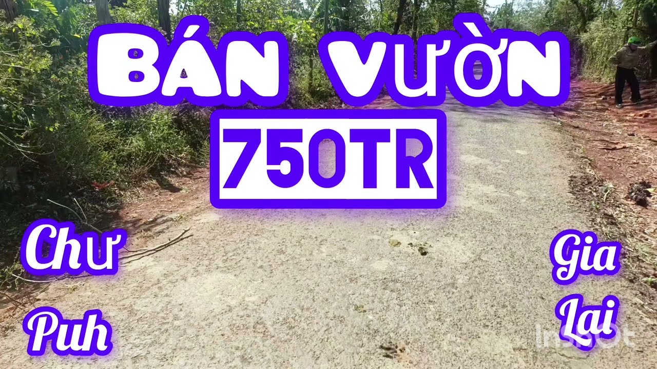 Bán mảnh vườn ba sào đất Phương Hồng 18 m mặt đường nhựa có giếng điện ba pha, giá 750 triệu