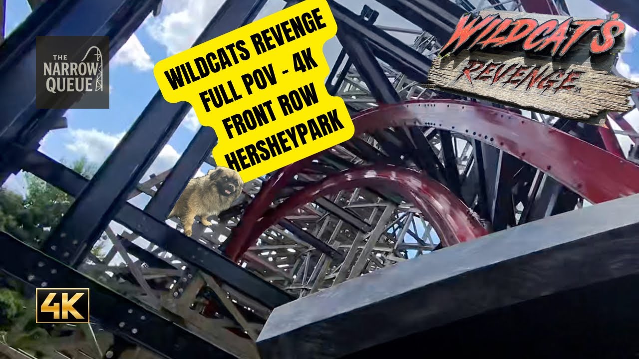 Wildcat’s Revenge FULL FRONT ROW 4K POV 🎢 RMC Hybrid at Hersheypark | The Narrow Queue