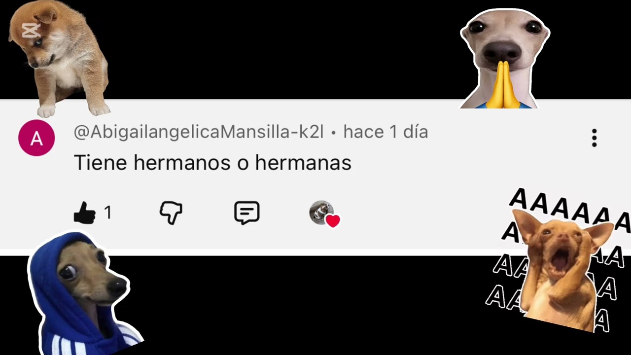 Especial 1k subs,respondiendo sus preguntas🐶