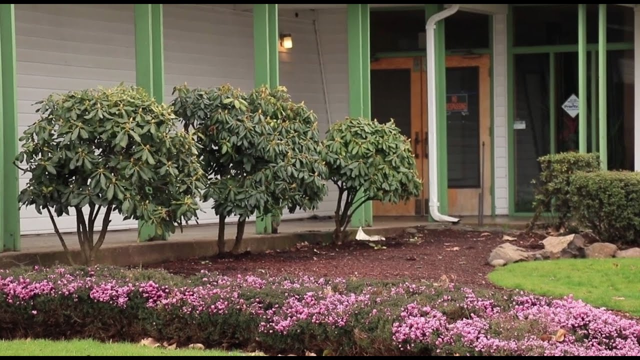 Unhoused group living on church porch finds temporary housing through community project