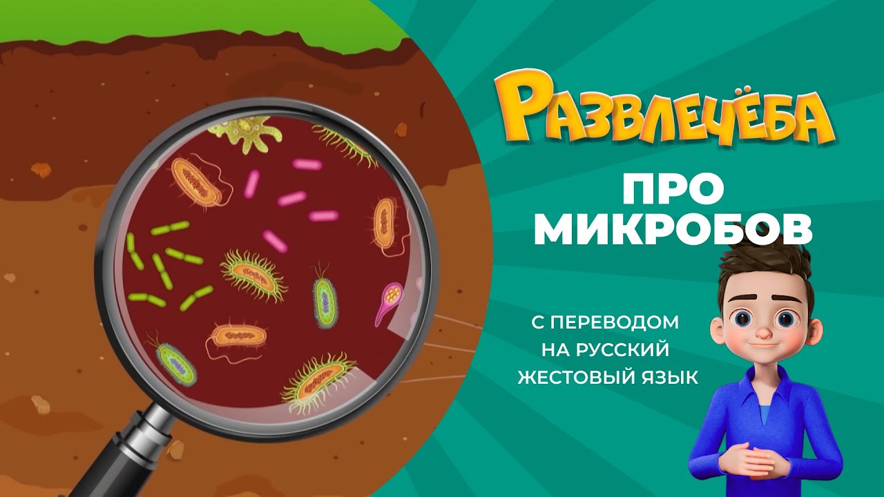Развлечёба. Окружающий мир. Про микробов. С переводом на русский жестовый язык.