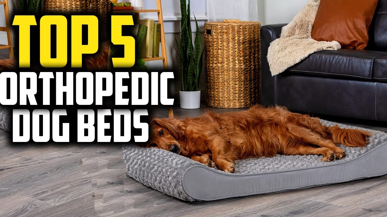 ✅Best Orthopedic Dog Beds in 2024