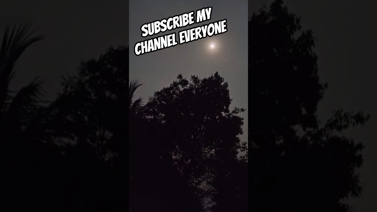 মৃত্যু🥺 