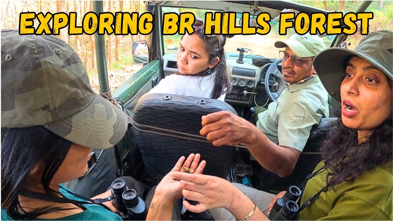 Exploring the Enchanting Forests of BR Hills | A Hidden Paradise in Karnataka