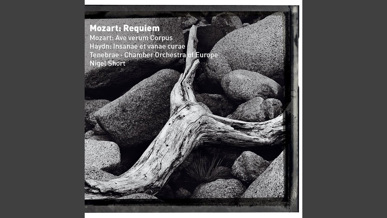 Requiem in D Minor, K. 626: V. Rex tremendae