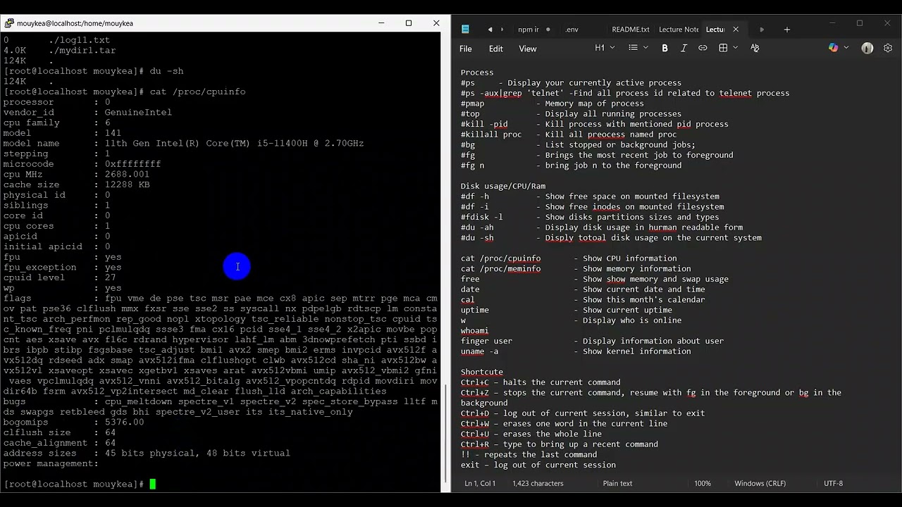 Command line on Linux to display all information in our Machine