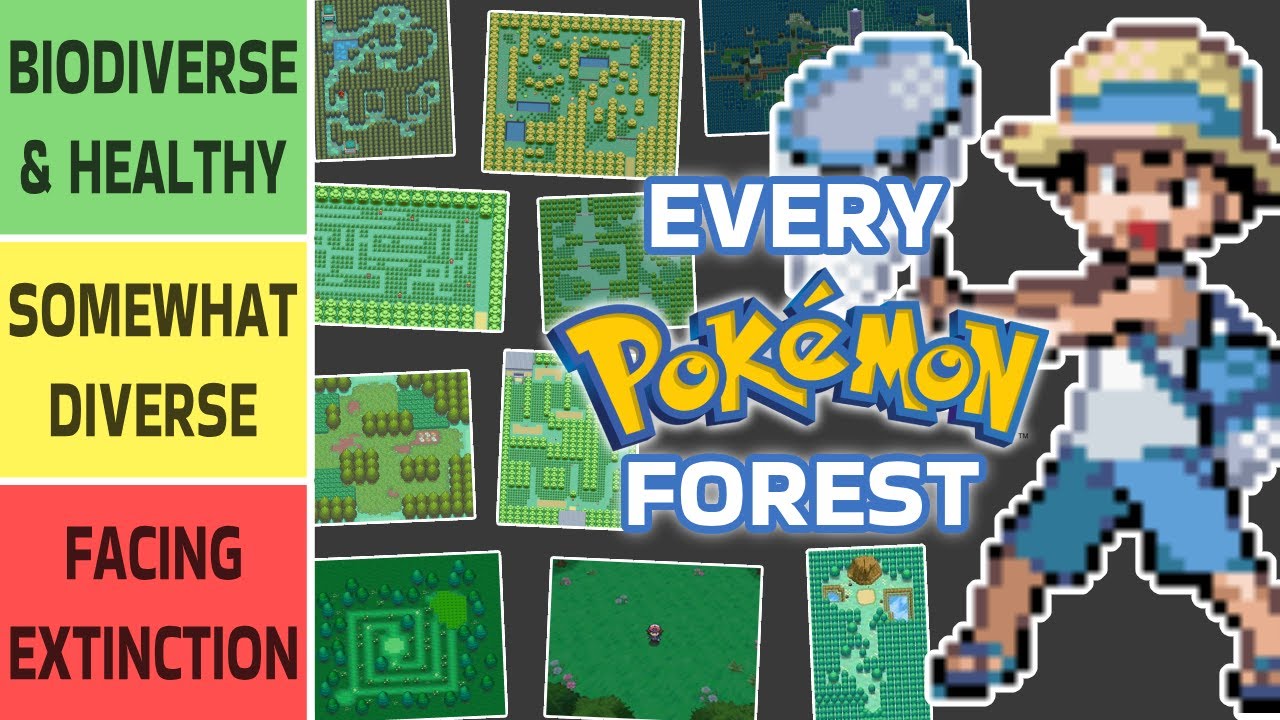 I ranked EVERY forest in Pokemon based on its biodiversity