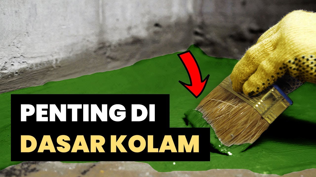 PANDUAN MELAPIS KOLAM IKAN KOI -  REVIEW AQUAGARD