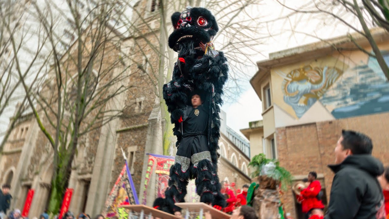 Lion Dance Franco Asiatique 英武堂 (LDFA)  - CHINESE NEW YEAR 2025 PARADE - Théo & Jo