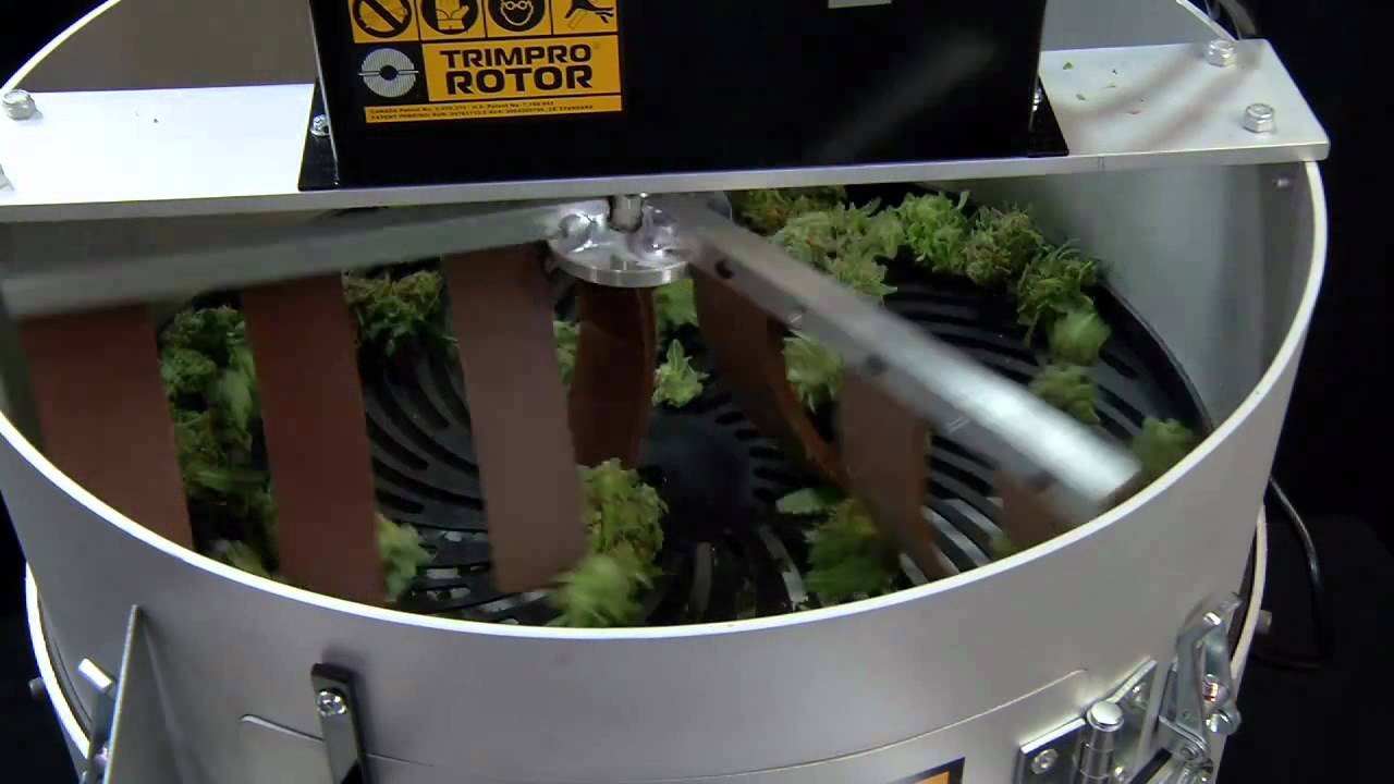Trimpro Rotor en funcionamiento