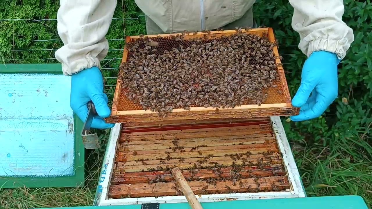 Odkłady też mogą przynieść miód.