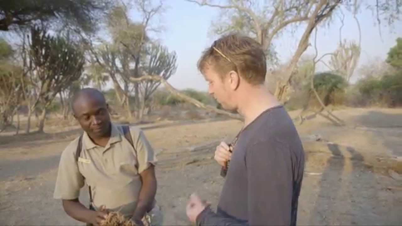 Walking Safari in Liwonde National Park, Malawi