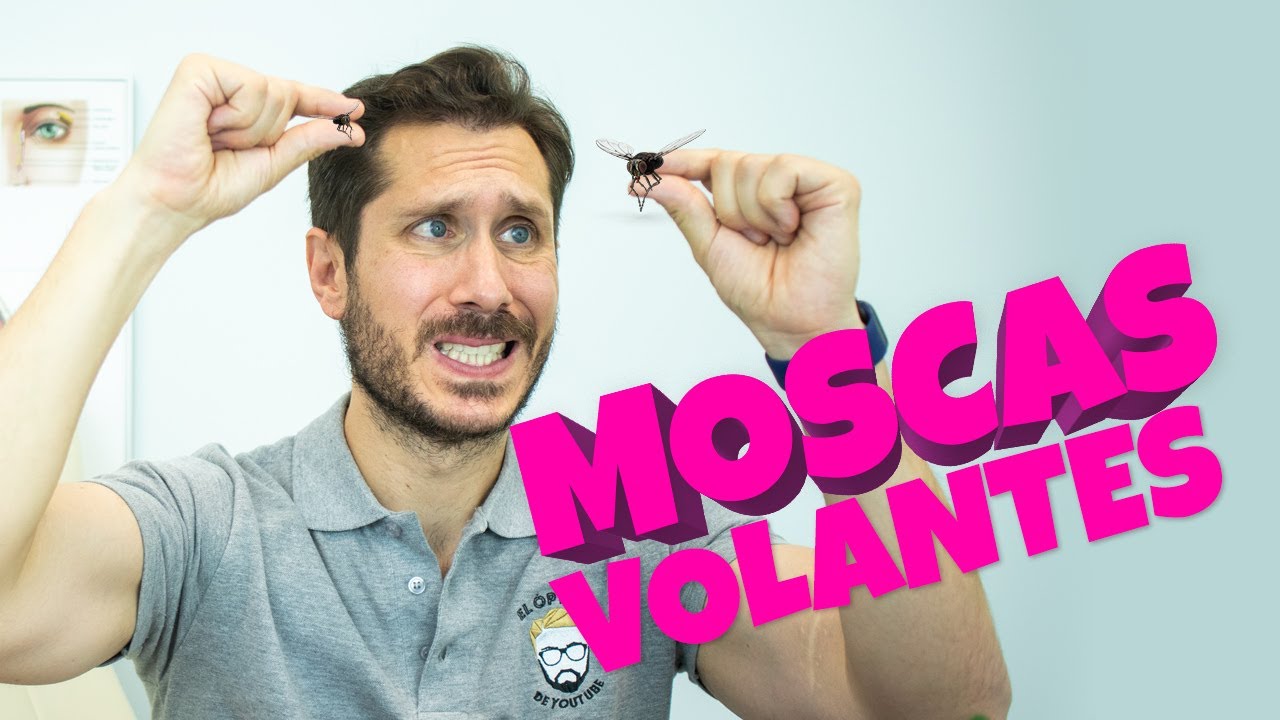 🚀 MOSCAS VOLANTES. ¿CÓMO ELIMINARLAS?
