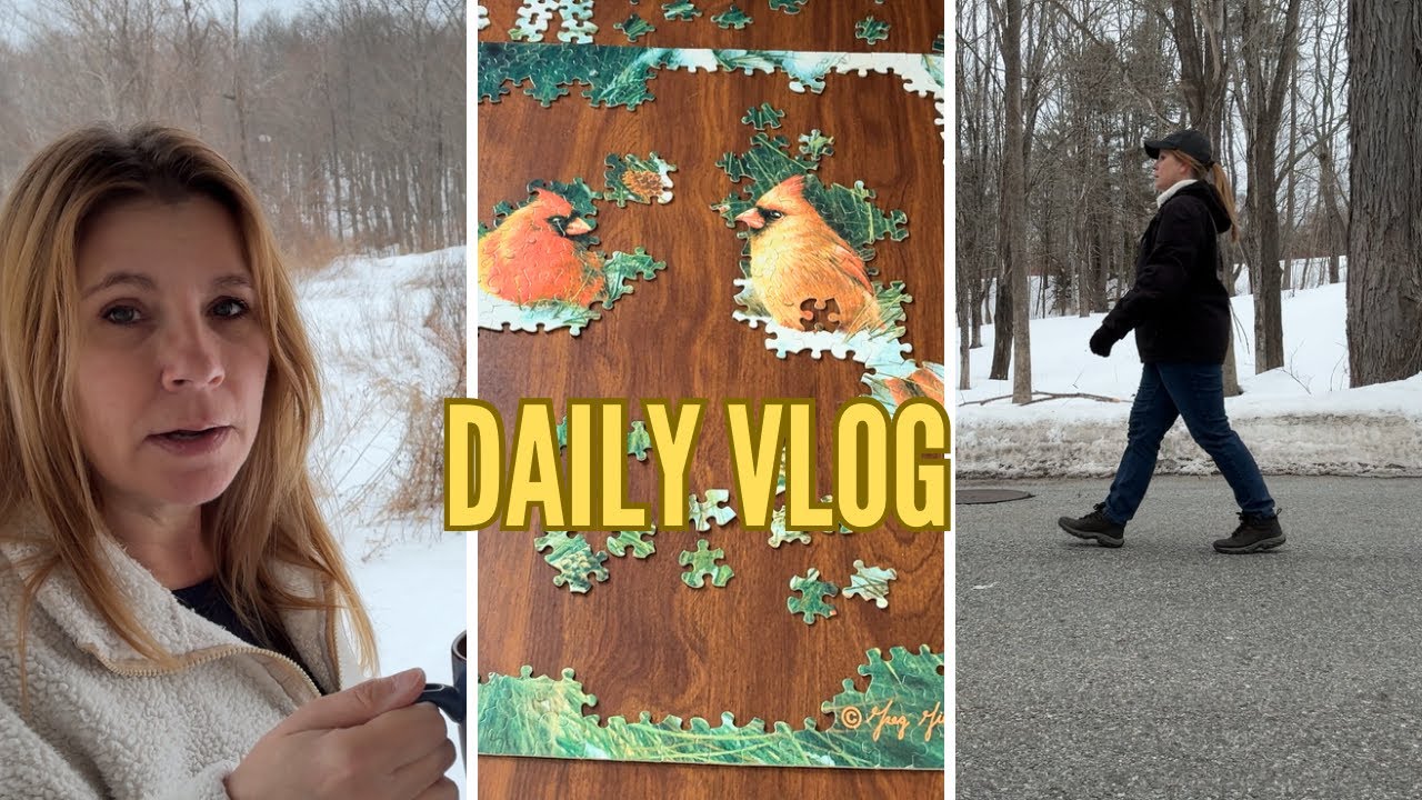 Cold morning walk • more snow • started another puzzle•New England life