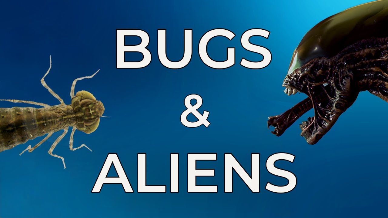 Bugs in Sci-Fi Movies : How Insects Inspired the Xenomorph in the Alien Movies