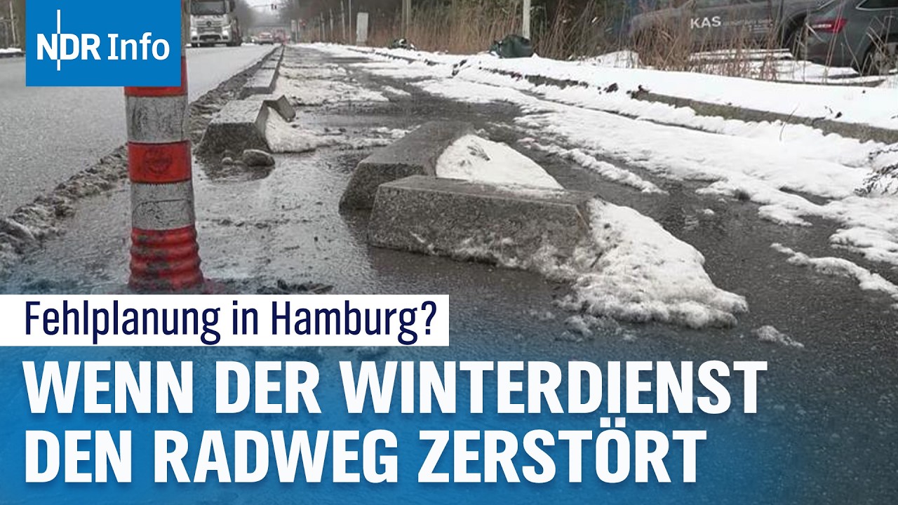 Neuer Radweg in Hamburg nach kurzer Zeit wieder zurückgebaut | NDR Info