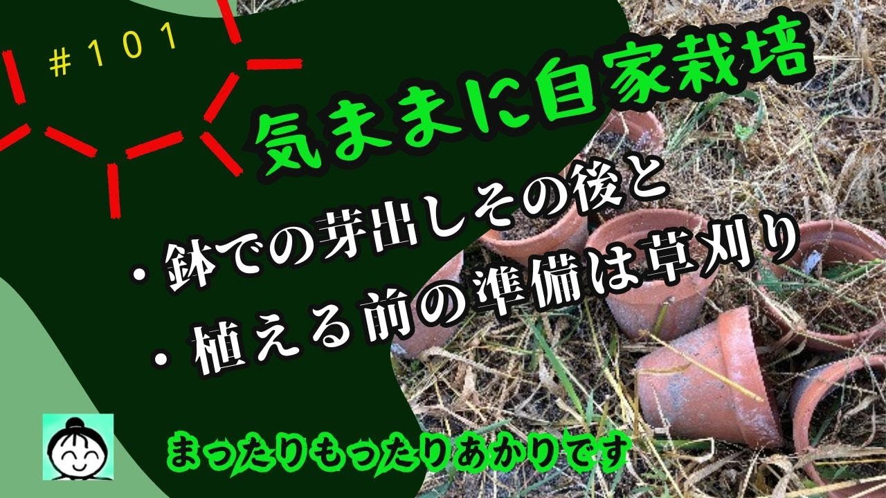 １０１【vlog】【作業】　鉢での芽出し、と植える準備　字幕は字幕ボタンを押してくださいませ＾＾