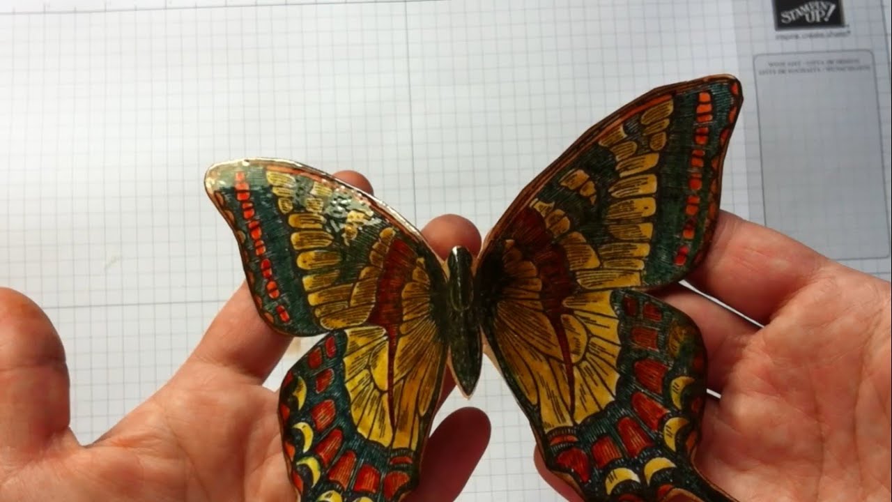 Colouring with Stampin Write Markers (in colour 2014 - 2016) &hearts; Swallowtail Stampin Up