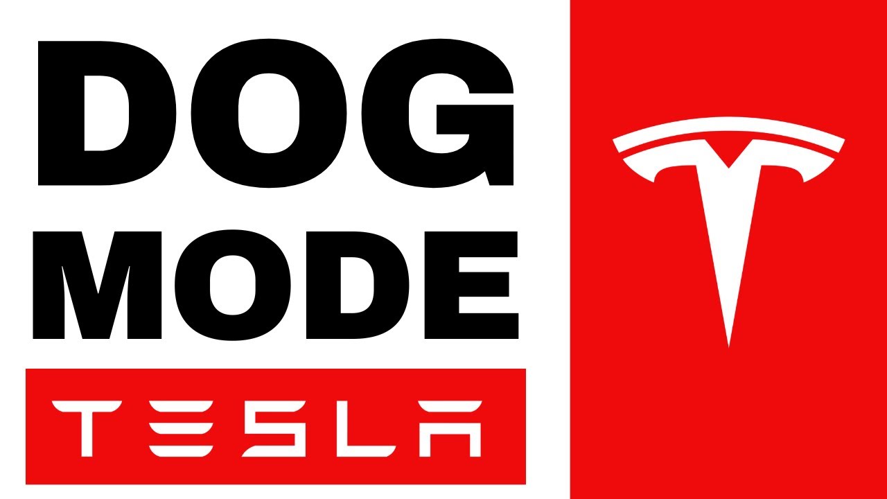 How To Put Tesla In Dog Mode - Quick Guide (2024)