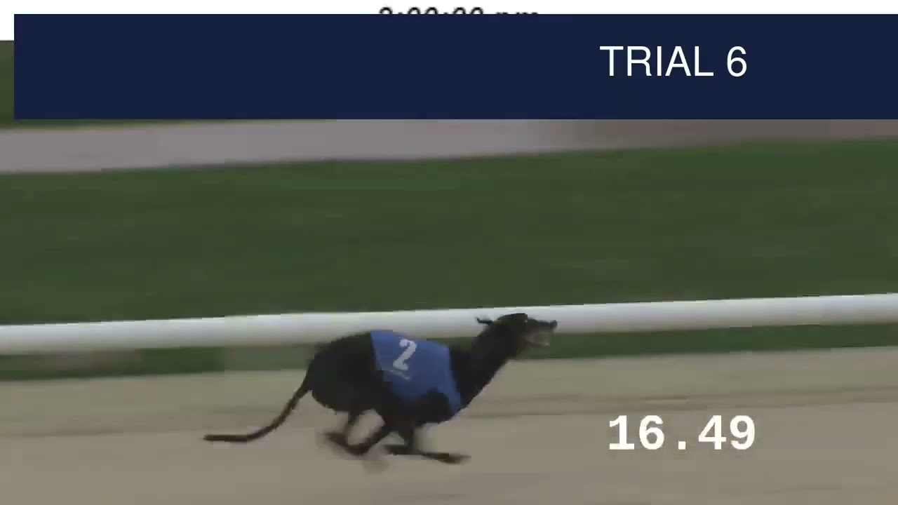 Dunstall Park Trials on 22nd January 2026