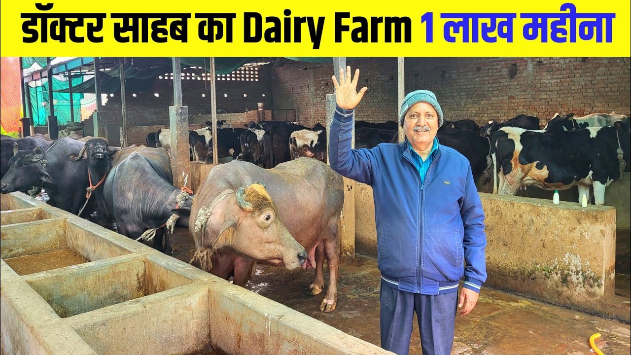 डॉक्टर साहब का Dairy Farming में कमाल ! Dairy Farm Business