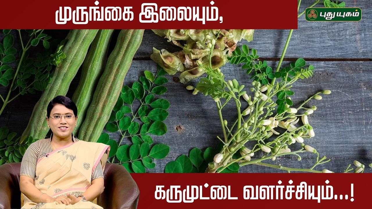 முருங்கை இலையும், கருமுட்டை வளர்ச்சியும்..!🌿🌸🩺✨ | Dr.MS.Usha Nandhini | #puthuyugamtv