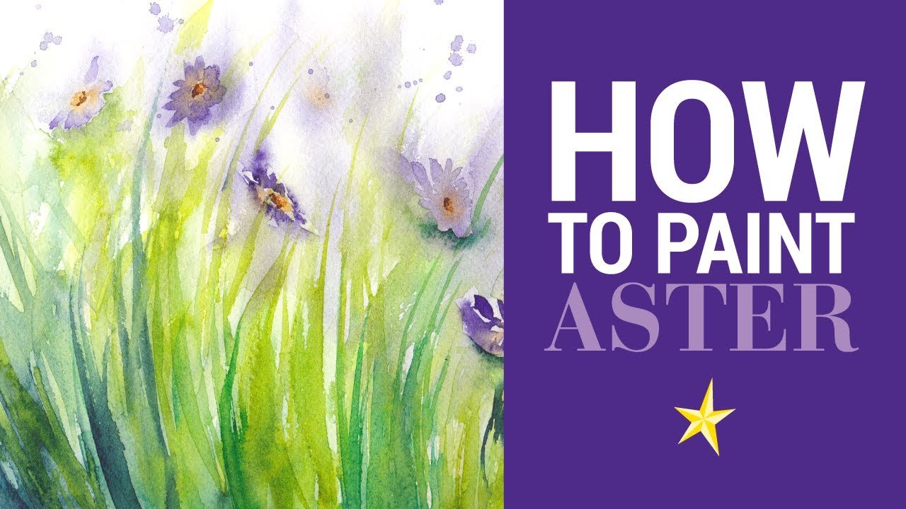 Aster à l'aquarelle