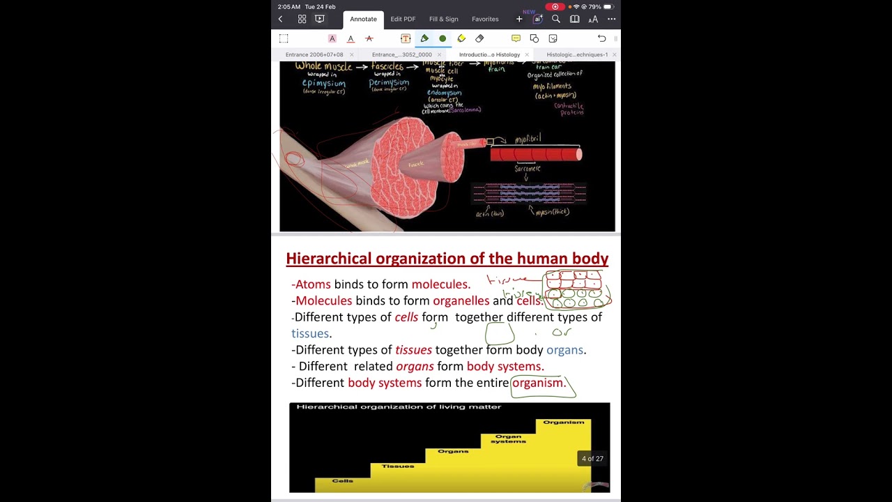 general histology 1st lec ( lumina batch 🦷) 