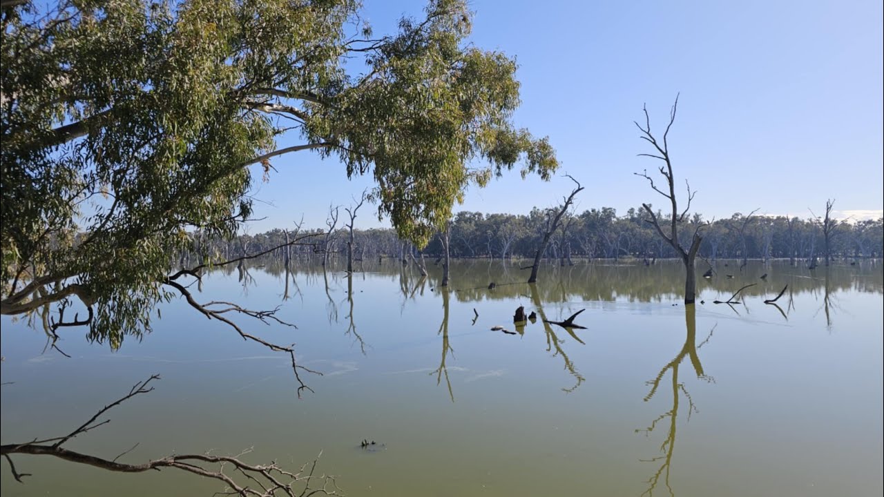Eugowra Catchment Landcare Gum Swamp Walk & Talk