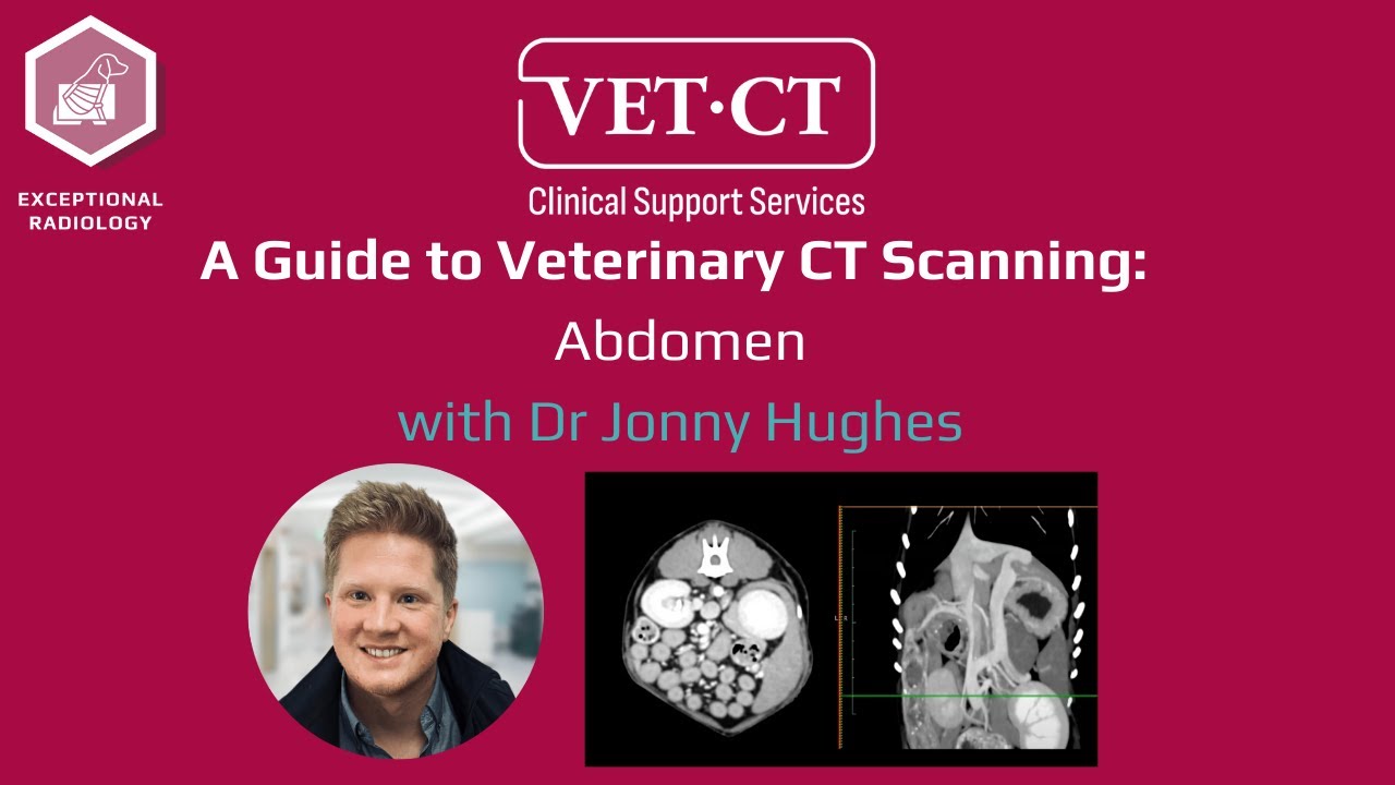 A Guide to Veterinary CT Scanning - Abdomen