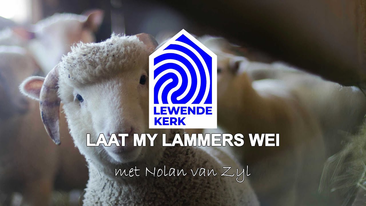 Laat My lammers wei - Nolan van Zyl