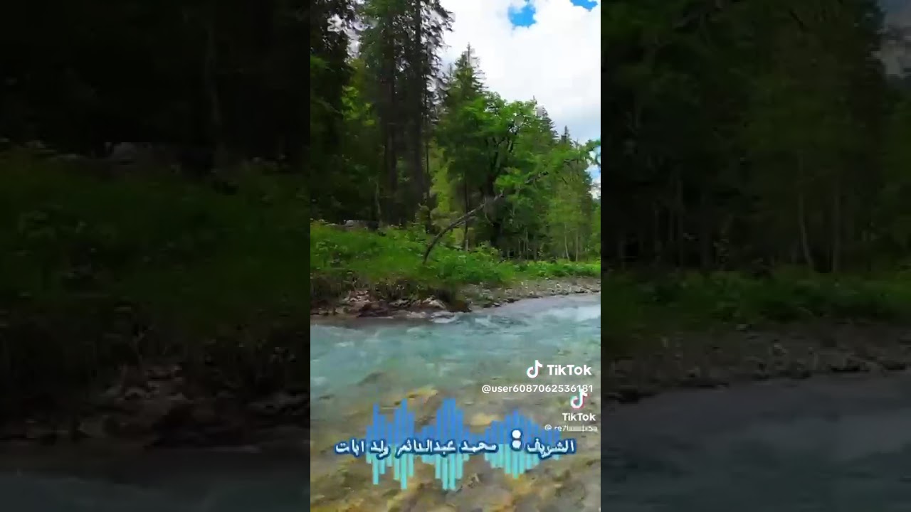 ١٨ فبراير ٢٠٢٦