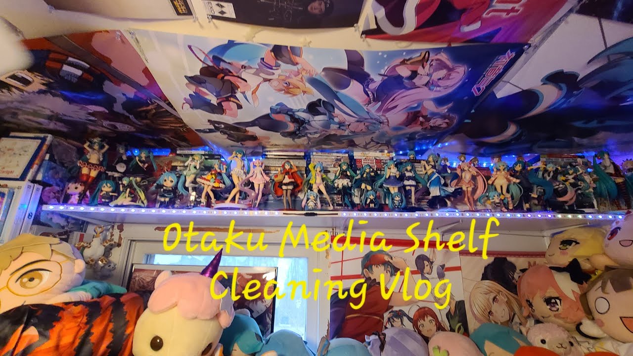Otaku Media Shelf Cleaning Vlog