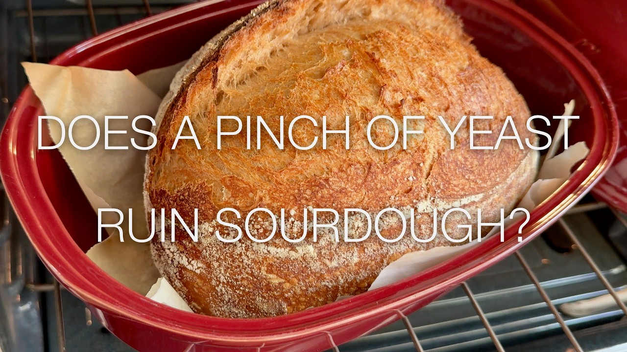 Tiny Yeast Pinch vs Pure Sourdough: The Real Test