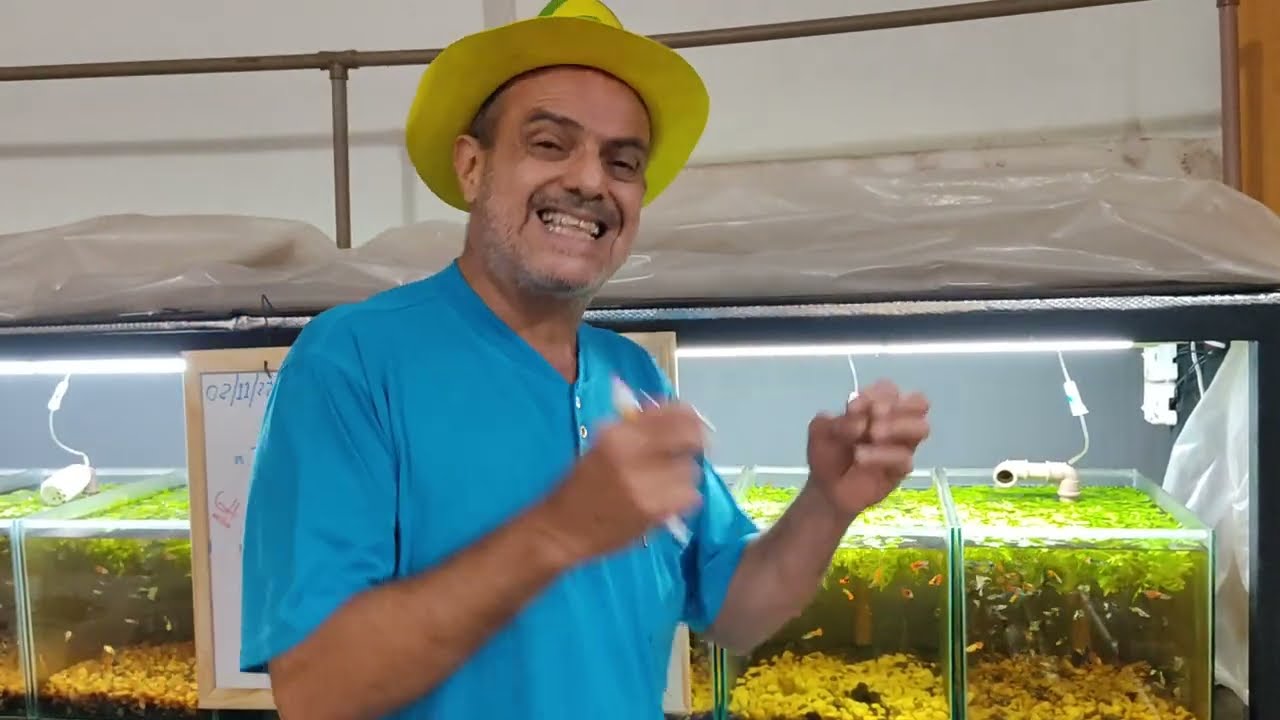Biologia da água, 2 classes de nutrientes indispensáveis as bactérias/fungos