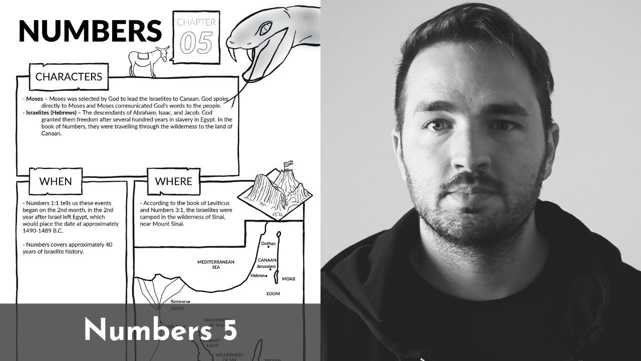 Обзор Numbers 5: краткий обзор за 5 минут