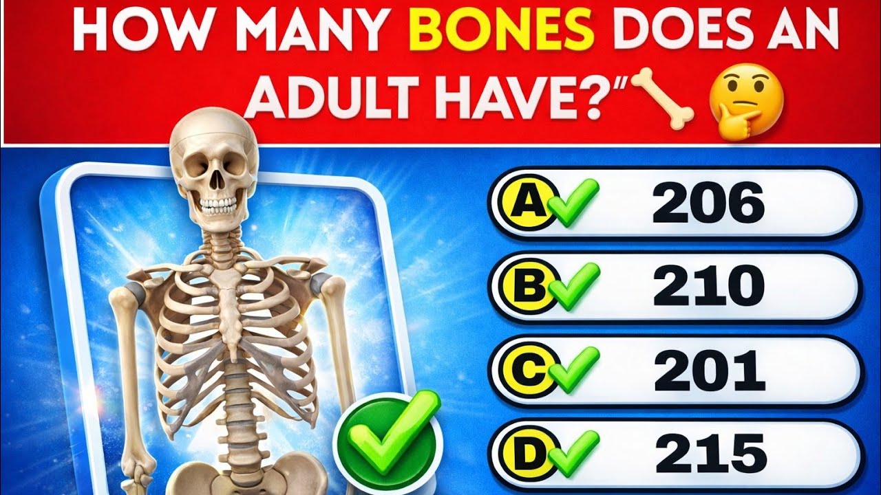 Can You Answer These Unknown Human Body Questions?| General knowledge Quiz!