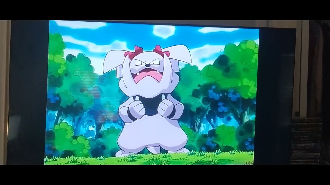 Pok&eacute;mon: Johto League Champions - Snubbull evolves into Granbull