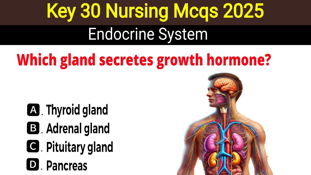Endocrine System mcqs | Top 30 nursing mcqs | human endocrine system mcqs | RRB nursing mcqs