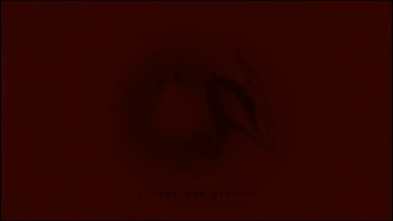 chrome and plastic – vom deich gechillt | Official Music Video 🎵